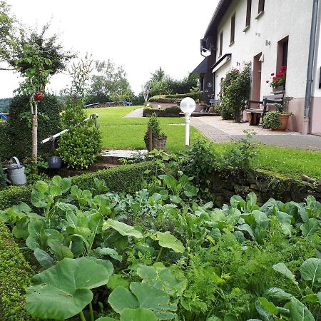 Ferienwohnung Huegelhaus Plütscheid المظهر الخارجي الصورة